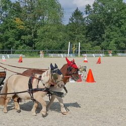 Was uns bewegt - Claudia Wied von Special Olympics NÖ